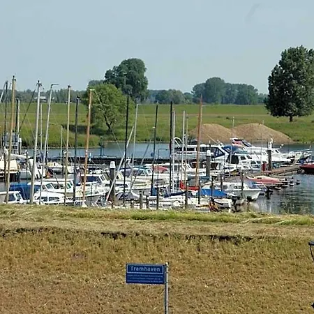 In Den Verdwaalde Koogel