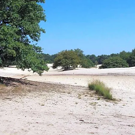 In Den Verdwaalde Koogel Drunen